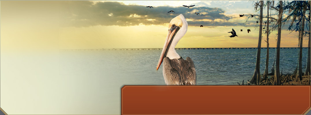 slidell veterinary hospital